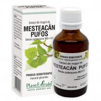 Extract Muguri Mesteacan Pufos, 50ml, Plantextrakt