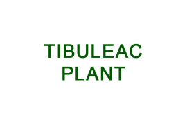 Tibuleac